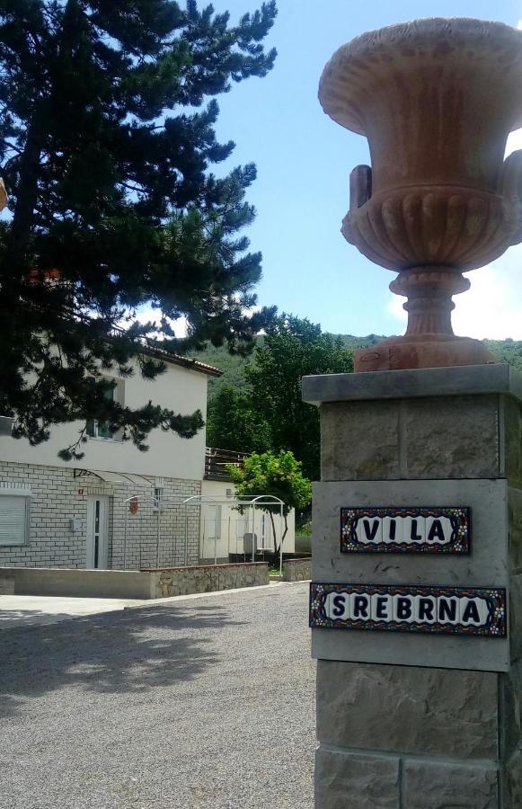 Divaca, Vila Srebrna Luaran gambar